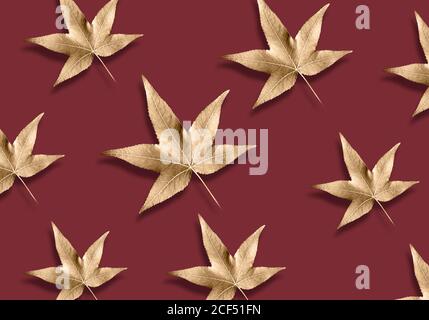 Pattern of maple leaves on black background. Black and white photography Stock Photo