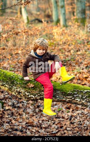 Child outdoors enjoying autumn nature. Portrait kids with funny face on yellow maple leaves. Stock Photo