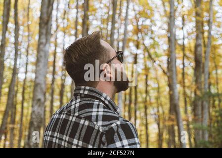 Side view of bearded male traveler in casual plaid shirt and trendy sunglasses standing and exploring autumn trees at forest Stock Photo