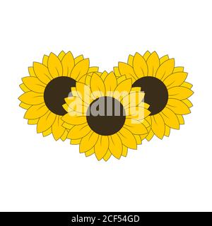 3 Sunflowers for banned design or decoration vector illustration Stock Vector