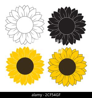 Sunflower blossom set in different styles vector illustration on white bakcghound Stock Vector