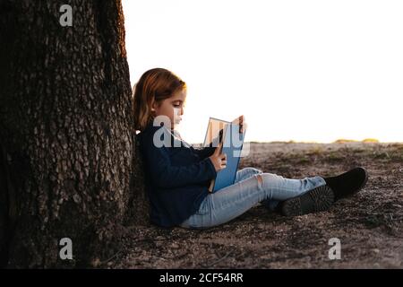 Side view of calm little girl in casual wear reading fairy tale book while sitting under tree in field in sunny summer evening Stock Photo