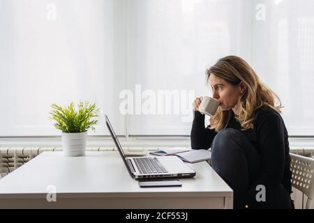 Side view of serious female remote specialist in casual clothes sitting at table with laptop and papers and drinking coffee while having break during work on project at home Stock Photo