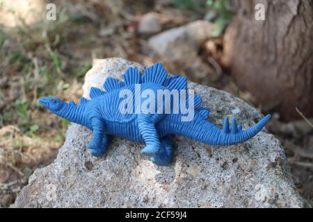blue rubber stegosaurus dinosaur toy in a park Stock Photo