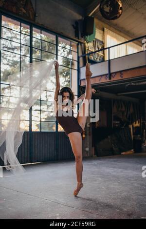 Full body of slim graceful female dancer looking at camera in black bodysuit and pointe shoes performing dance with transparent light tulle during rehearsal in studio Stock Photo