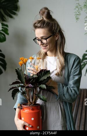 Smiling woman gardener in eyeglasses wearing linen dress, holding a flowering calathea plant in old red milk can standing in her home garden. Love of Stock Photo
