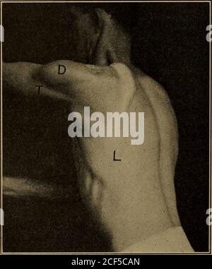 . Applied anatomy and kinesiology. s trunk and lower limbs andgrasps ...