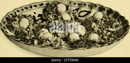 . Mrs. Seely's cook book; a manual of French and American cookery, with chapters on domestic servants, their rights and duties and many other details of household management. meter strips orin tufts of red in a bed of white, and garnish to taste. A dressing good for the cabbage is made of the yolks oftwo hard-boiled eggs rubbed smooth with a teaspoon of mus-tard, a tablespoon of finely minced onion, an egg well beaten,and a teaspoon of sugar, and salt and pepper to taste. Add asmall cup of oil and vinegar to make it of the right sourness,and pour over the cabbage, which should be thoroughly co Stock Photo