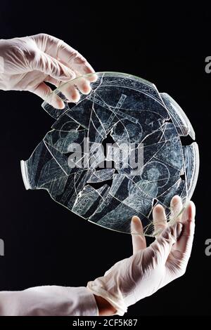 Hands of an archeologist with rubber gloves holding the authentic paten of Cástulo, a relic from forth century in Linares Jaen Stock Photo
