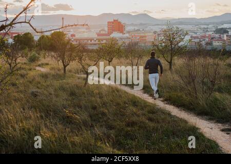 Back view of anonymous man in tracksuit working on muscles of legs running in forest on sunny day Stock Photo