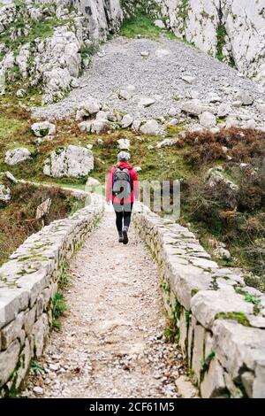 Back view of unrecognizable Woman hiker in red jacket with backpack walking in mountain on stone fence path in peaks of Europe, Asturias, Spain Stock Photo