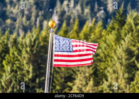 USA flag waving on forest outdoor background. American symbol. Stock Photo