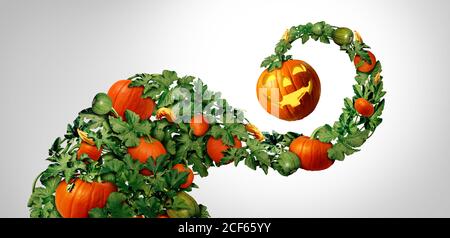 Halloween happy pumpkin leaves as an autumn holiday festive jack o lantern decorative swirl element with a growing vine full of pumpkins. Stock Photo