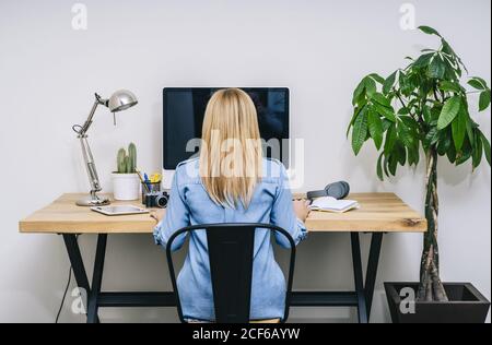 Back view o blonde caucasian Woman in casual clothes sitting on wooden desk working on a computer in a modern home office Stock Photo