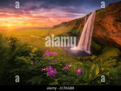 Majestic waterfall located on entrance of grassy stone cave against cloudy sundown sky on seashore in Iceland Stock Photo