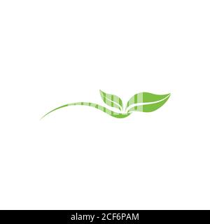 simple curves leaf dynamic logo vector Stock Vector