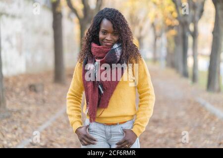 Charming fashion African American Woman in a winter scarf with hands in pocket on road with autumn leaves in park Stock Photo