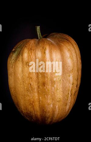 Ripe whole orange pumpkin on black background Stock Photo