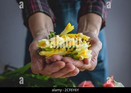 unrecognizable female professional florist making bouquets of various types. Roses. Yellow flowers. Coves Stock Photo