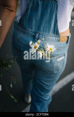 From above view of anonymous young lady in walking on path with bouquet of fresh chamomiles in back pocket of denim overall