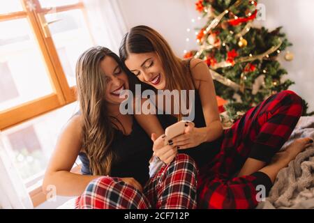 Two women friends enjoying in winter holidays at home and looking something on mobile phone near christmas tree in cozy interior. Interior with christmas decorations. Stock Photo