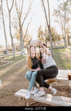 Smiling women taking selfie in park Stock Photo