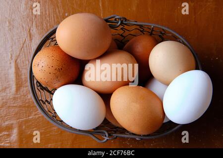 Top view of metal basket with fresh chicken eggs placed on table in kitchen Stock Photo