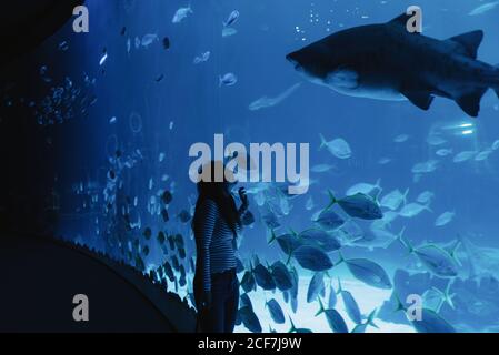 Side view of satisfied young lady in casual wear smiling while looking on big fish through glass in modern oceanarium Stock Photo