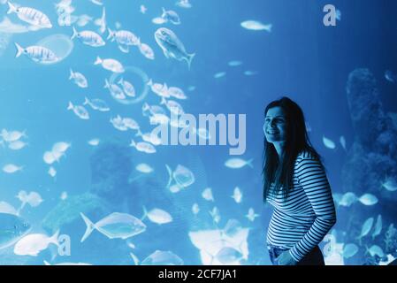 Side view of joyful black haired young Woman in casual wear smiling and looking up with bright modern aquarium on background Stock Photo