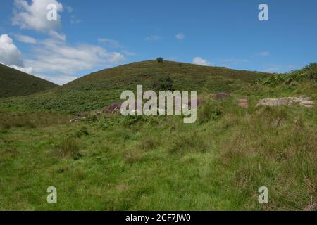 Cow Castle, Simonsbath, Exmoor National Park Stock Photo - Alamy