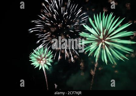 Bright fireworks on night sky Stock Photo