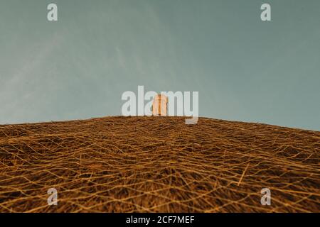 From below yellow straw roof of village house against blue sky in Gambia Stock Photo