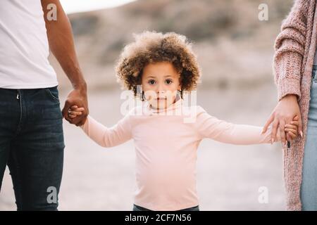 Cropped unrecognizable diverse mother father and curly child wearing bright casual clothes strolling on nature holding hands at daytime Stock Photo