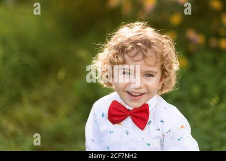 From above of joyful curly haired little boy in shirt and bow tie laughing and looking at camera with green grass on blurred background Stock Photo
