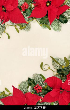 Christmas abstract background border with snow covered blue spruce fir on  old parchment paper over red Stock Photo - Alamy