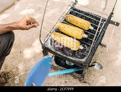 From above of crop faceless man preparing fresh ear of corn on grill grate in countryside Stock Photo