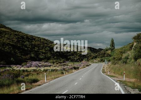 Empty winding asphalt road running through green hills at New Zealand countryside with cloudy stormy sky in background Stock Photo