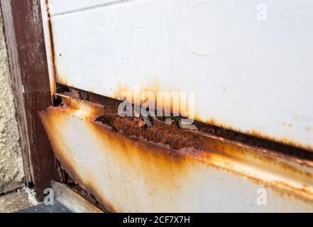 Rusty garage door. Damaged rusting metallic garage door covered in rust (AKA Iron oxide, Iron(III) oxide, Ferric oxide). Stock Photo