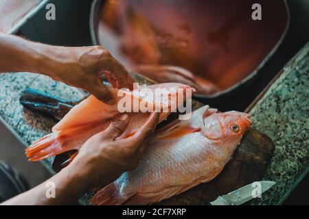 From above crop anonymous cook washing fresh fish for cooking dinner in kitchen Stock Photo