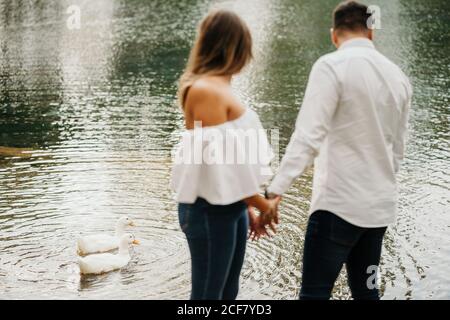 Blurred man and Woman hugging each other while standing near rippling pond with swans dipping head in water during romantic date in park Stock Photo