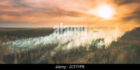 Aerial View. Spring Dry Forest Burns During Drought Hot Weather. Bush Fire And Smoke During Sunset. Wild Open Fire Destroys Grass. Nature In Danger Stock Photo