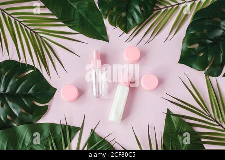 Blank white bottle with cream and lotion on pink background. Natural organic cosmetics, sustainable lifestyle concept. Top view, tropical concept, lea Stock Photo