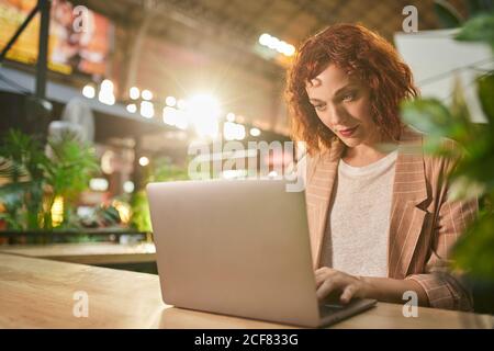 Cheerful young Woman working on laptop in cafe Stock Photo
