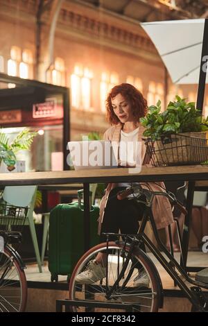 Cheerful young Woman working on laptop in cafe Stock Photo