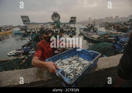 Gaza City, Palestinian Territories. 04th Sep, 2020. Palestinian fishermen unload their catch after a night fishing trip in the Gaza port. Israel has reopened a 15-mile (25 km) fishing zone off the coast of Gaza after an agreement through international mediators to end the latest round of cross-border violence between Hamas and Israel. Credit: Mohammed Talatene/dpa/Alamy Live News Stock Photo