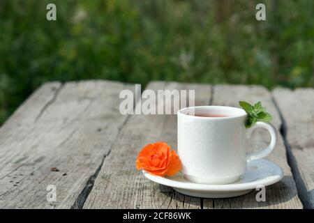 Coffee composition  with  white cup    of coffe and  orange  flower  and fresh leaf of mint on wooden rustic  table and green tree as background Stock Photo