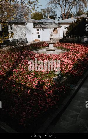 Stone old idle fountain surrounding by large colorful decorative flower bed of pink tulips in park in Istanbul on background of small white houses Stock Photo