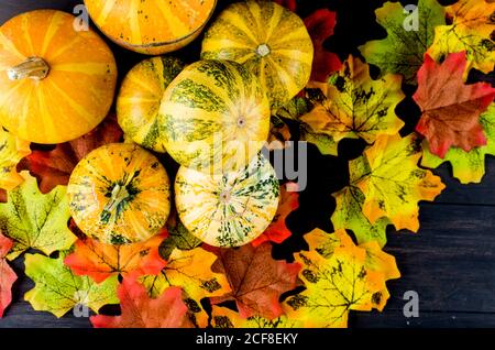 Decorative Mini pumpkins with fall dried leaves on dark old wooden background, autumn concept or fall holiday, Thanksgiving Day, copy space Stock Photo