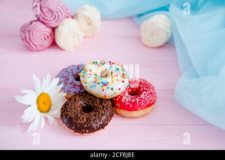 Variety of doughnuts and marshmallow on pink background. Junk food. Sweet confectionery. Stock Photo