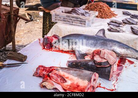 Shark from Atlantic ocean at the Essaouira port in Morocco. Stock Photo